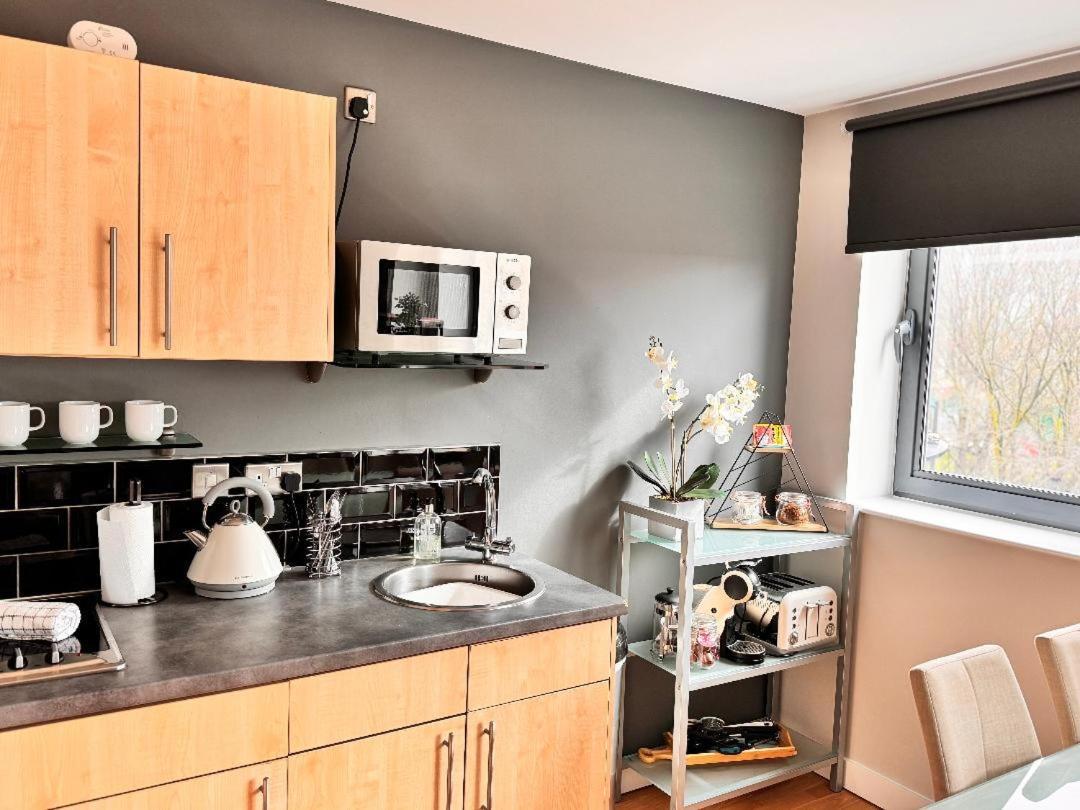 Perfectly Located City Centre Studio Apartment - West One With Free Wifi, Gym Access, Netflix Шеффілд Екстер'єр фото